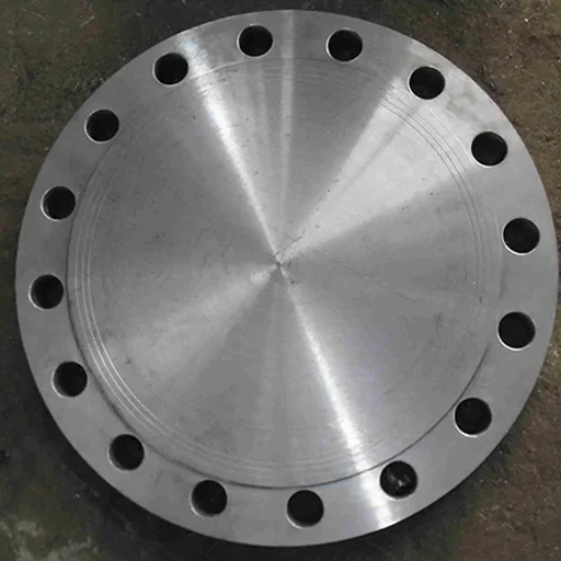ASTM A182 Stainless Steel 310 Flange for Oil Industry